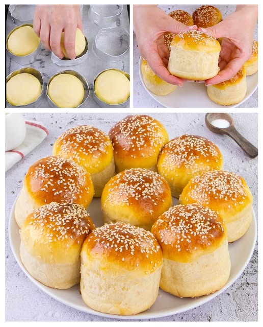 469127436 122146035200335096 4974596022975945259 N