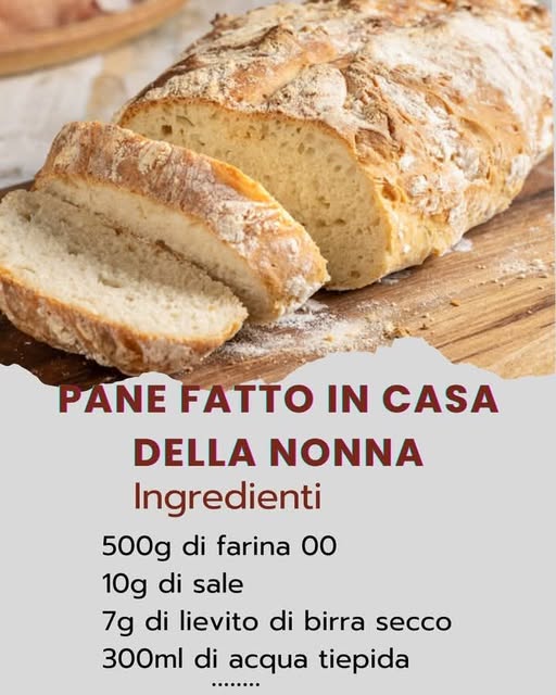 474894611 122154311018335096 8671451073379829650 N