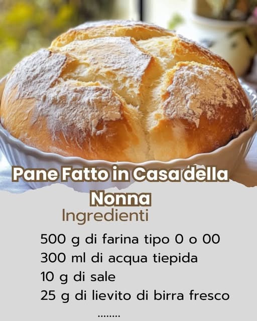 475154776 122154325940335096 3877808134319170248 N