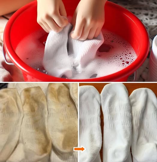 475327493 122154330854335096 5771368226720528878 N