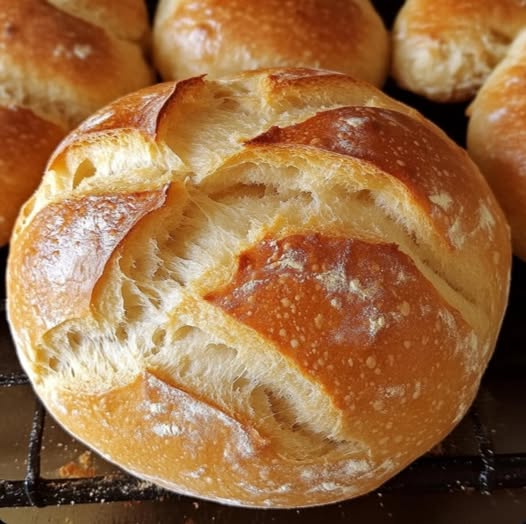 476154940 122156161712335096 7485244262340127851 N