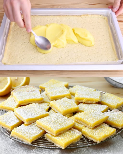 476249419 122156157002335096 1176214281375999192 N