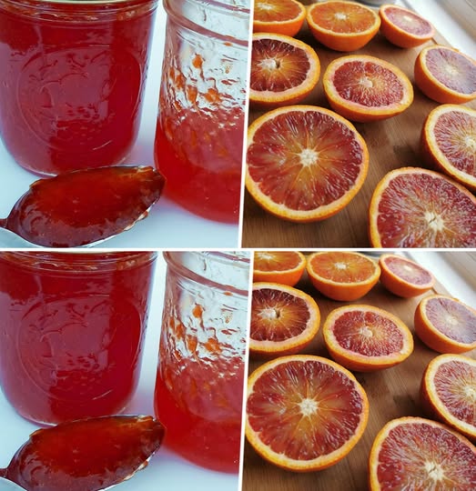 481663170 122158604348335096 1418752453236344192 N