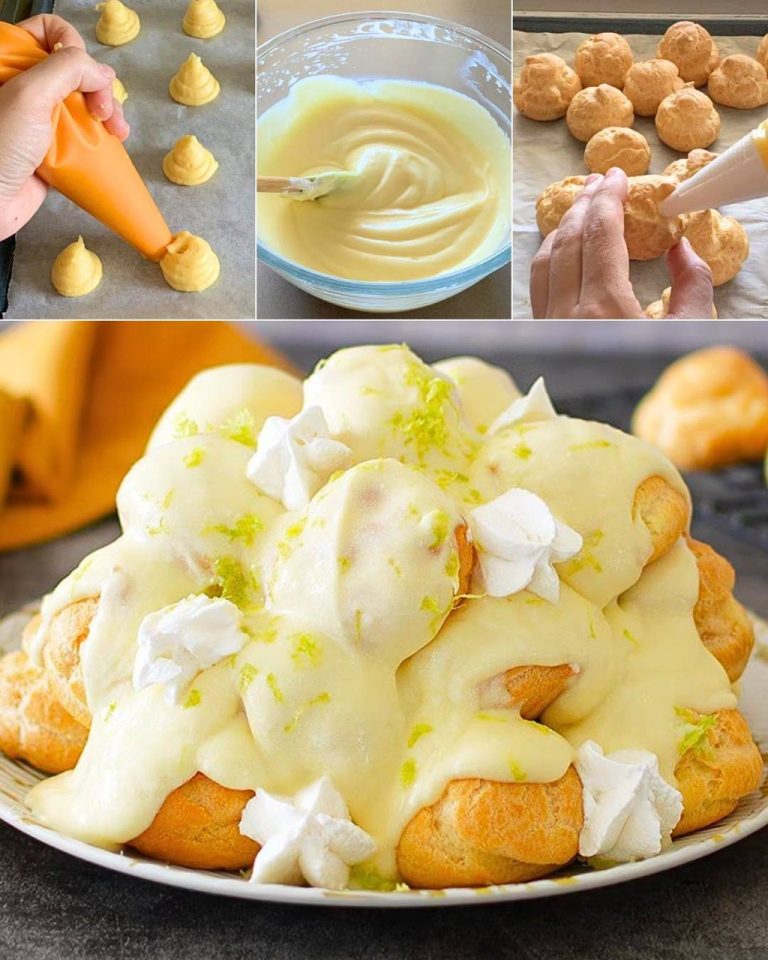 477992641 122156936762335096 9194235537693771955 N