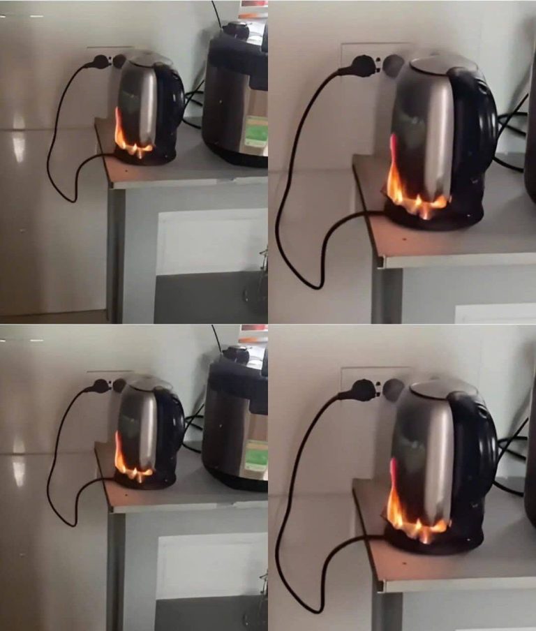478122212 122156838758335096 3146742764828829245 N