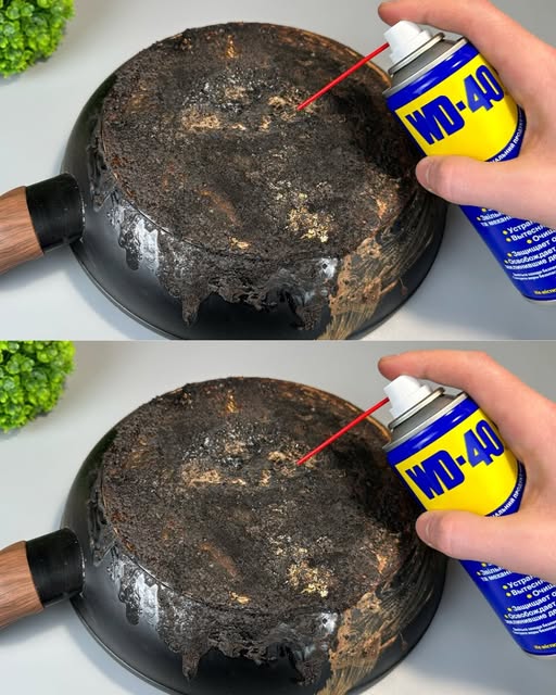 486282725 122163957758335096 8936946112932322557 N