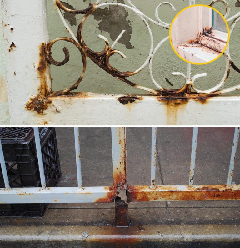 486535739 122164073198335096 3405274627819096447 N