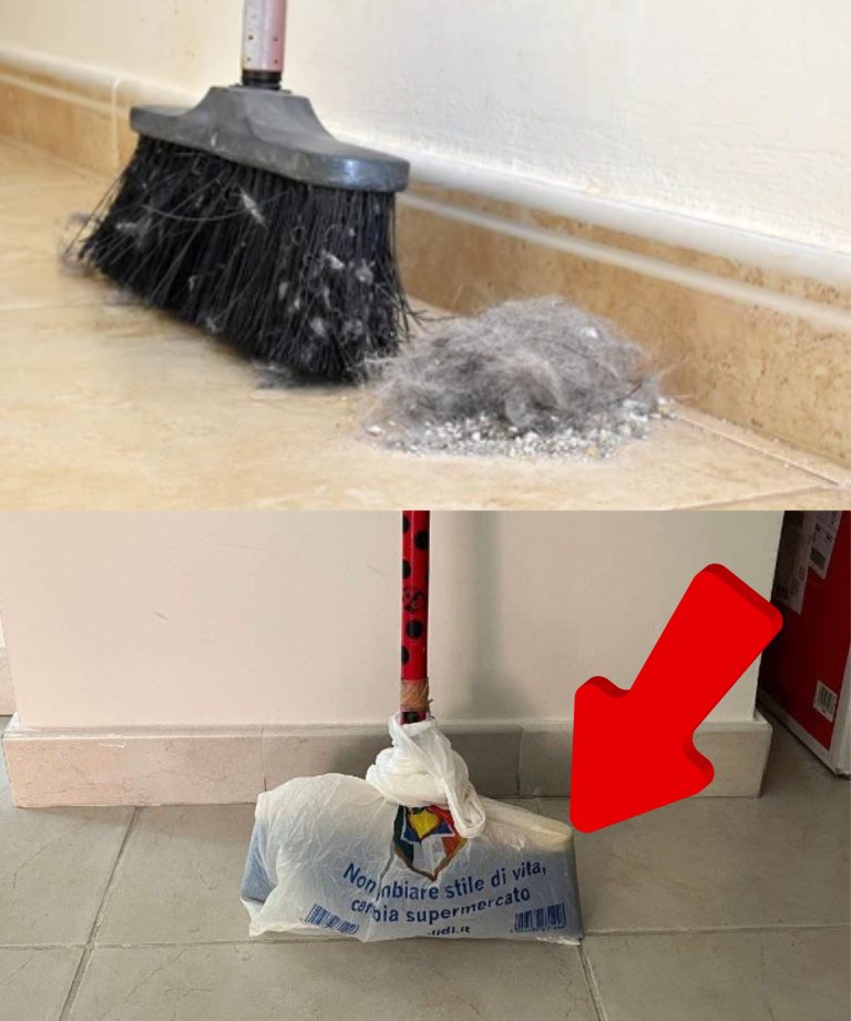 486610658 122164156724335096 1033910024722770188 N