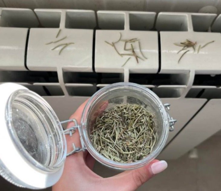 486639123 122164030694335096 6044945494837199300 N