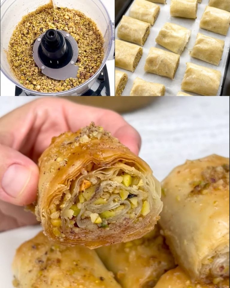 486643225 122164036310335096 5395541150841741105 N