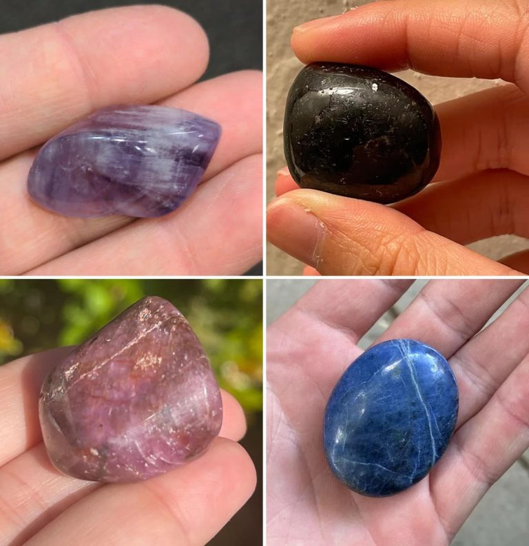 486645780 122164659596335096 2755699133427849416 N