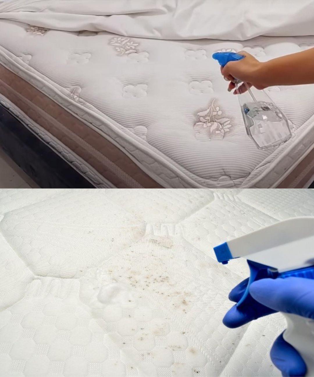 486720948 122164000058335096 8436734538442866359 N