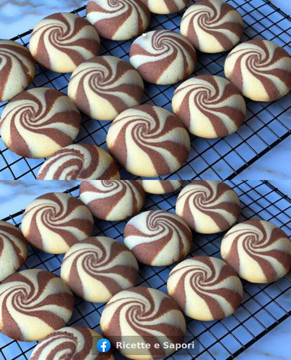 486760790 122164011296335096 1721427434272844930 N