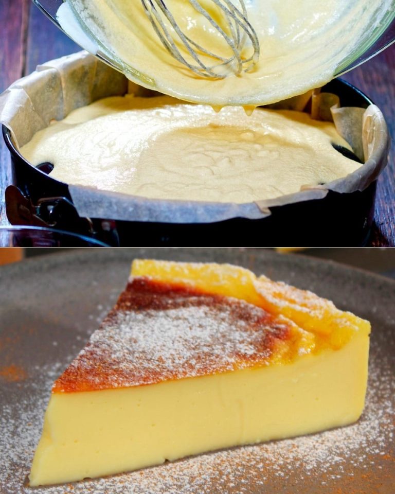 487085249 122164187312335096 6465472659380559046 N