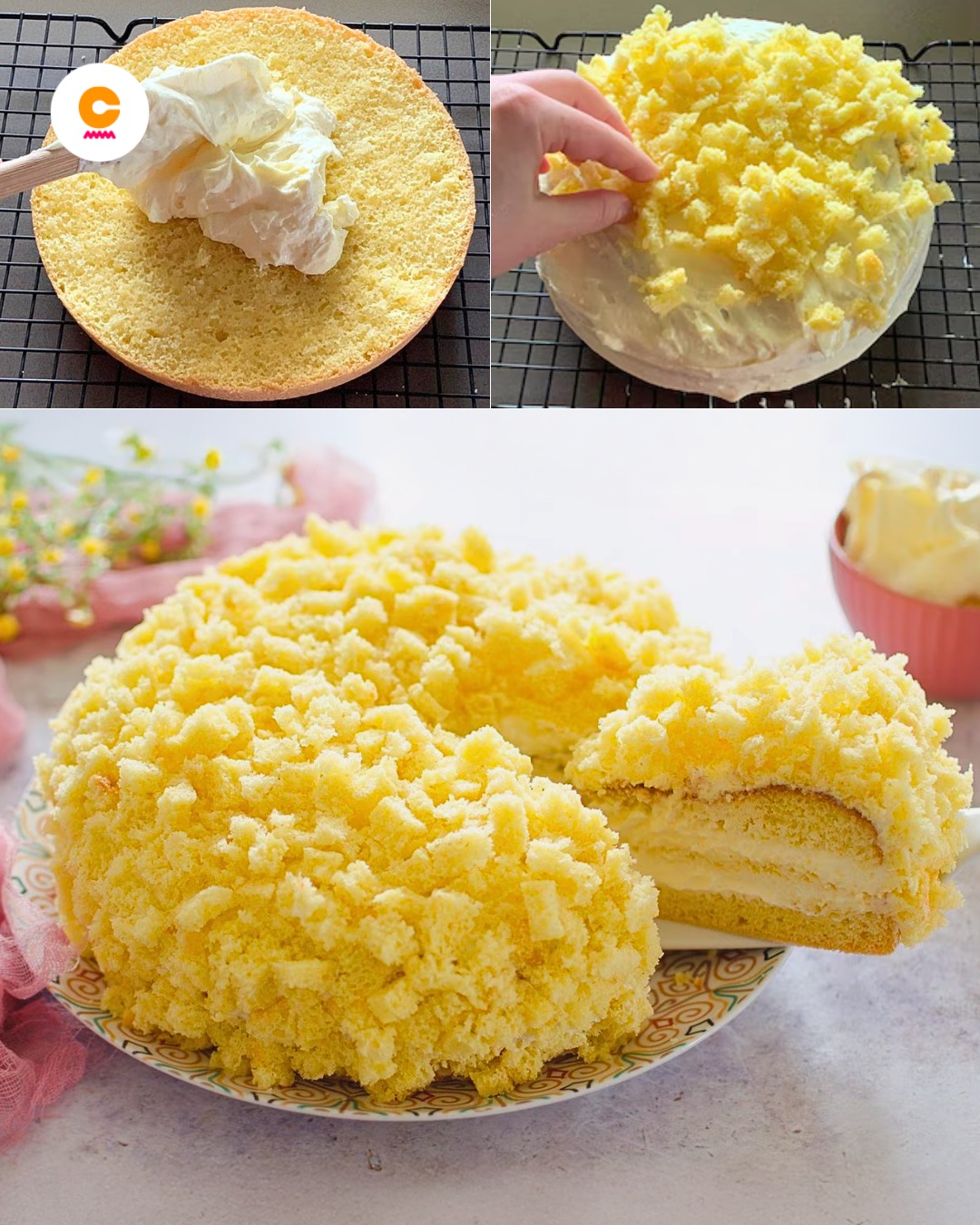 487197862 122164009370335096 5292099175817146757 N