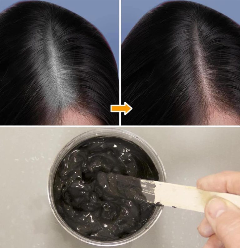 487206487 122164024574335096 6669496761604271676 N