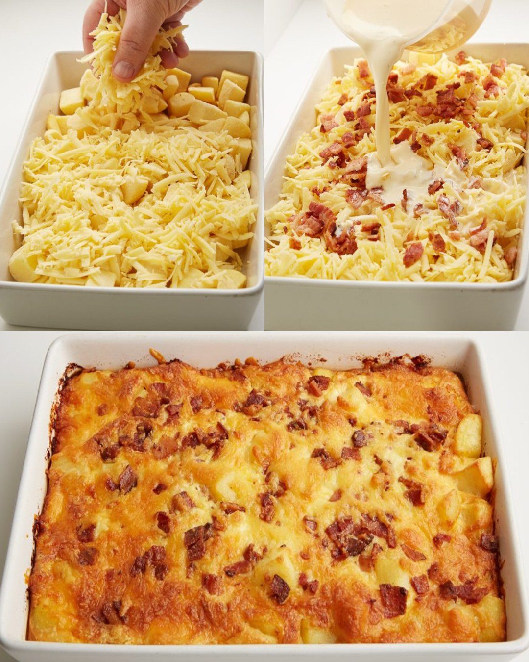 487216499 122164720604335096 4593420917239882986 N