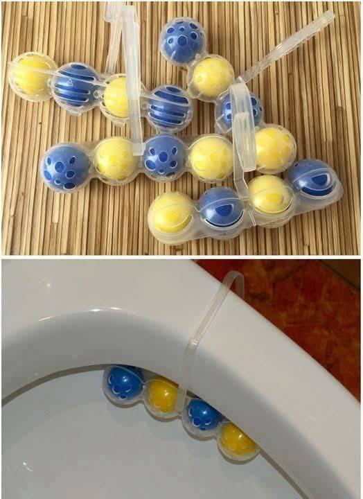 487278027 122164004210335096 5033036912936206265 N (1)