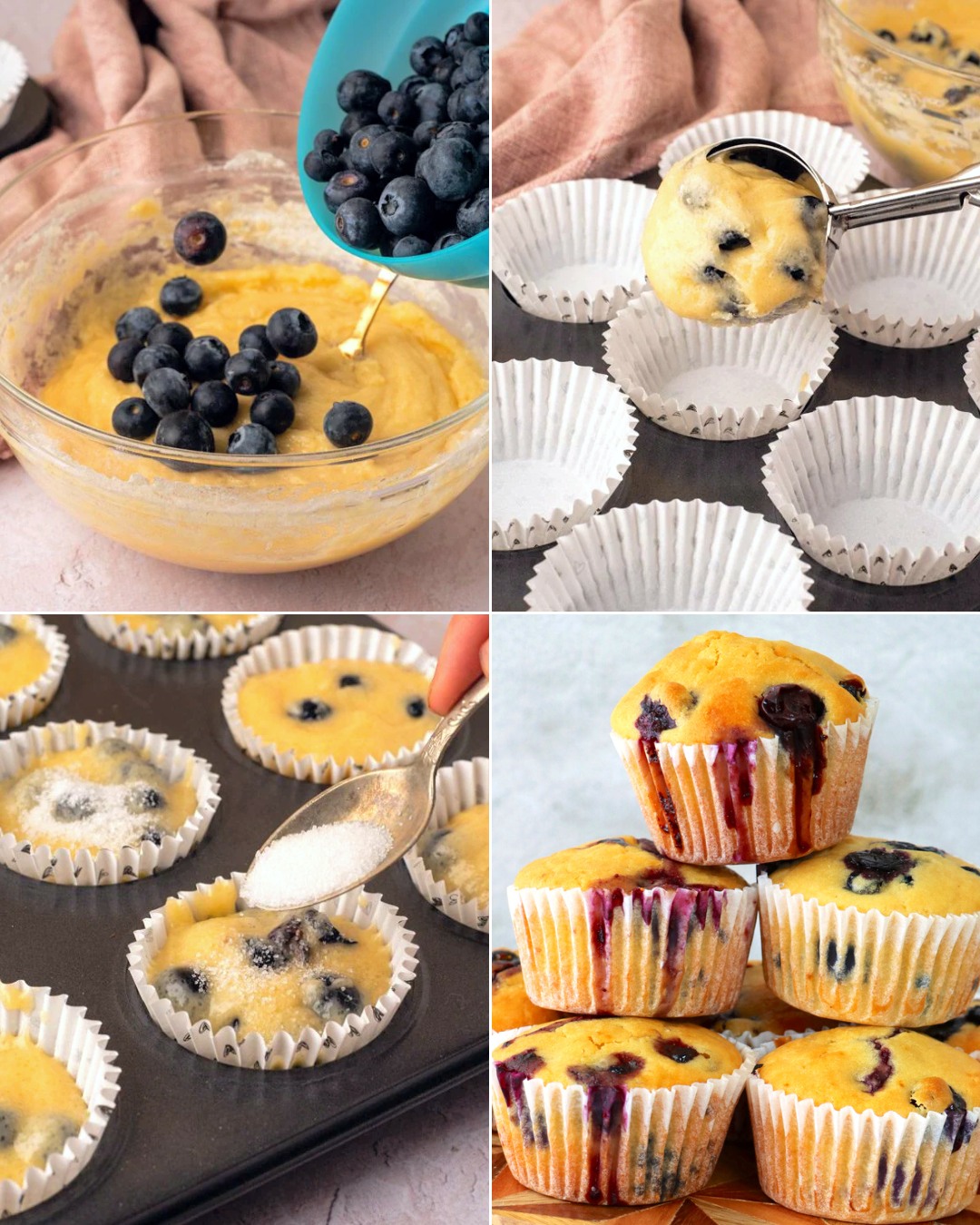 487437554 122164718912335096 1107821142361333093 N