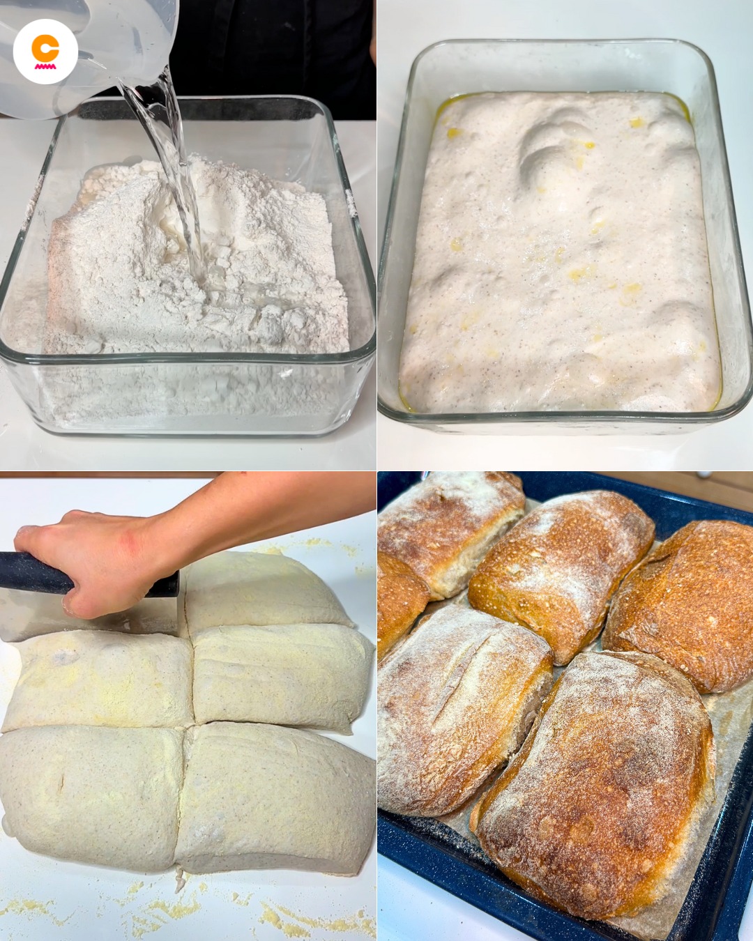 487842501 122164700306335096 2720394742079382838 N