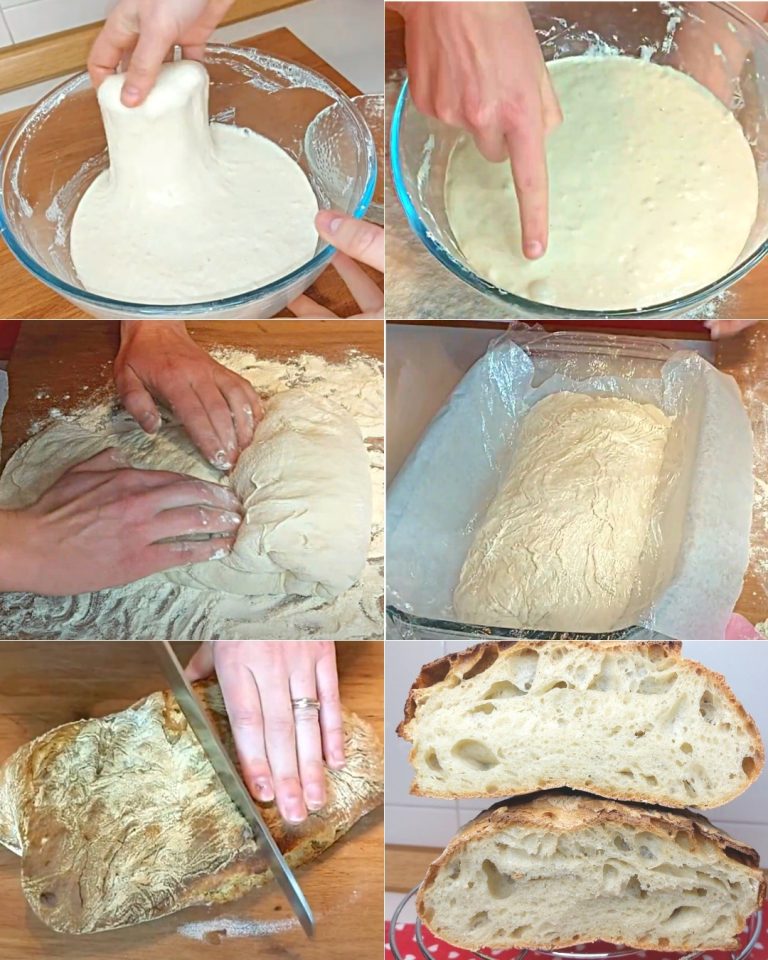 492003116 122168097290335096 998603911711754531 N