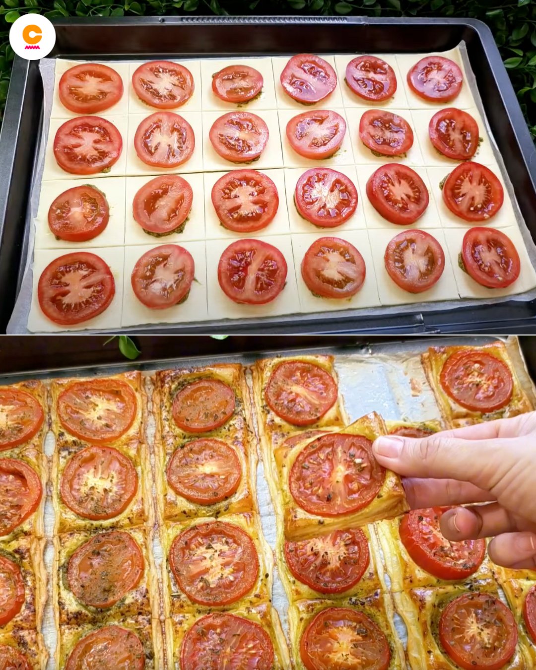 484560300 122162375024335096 2222249323423797592 N