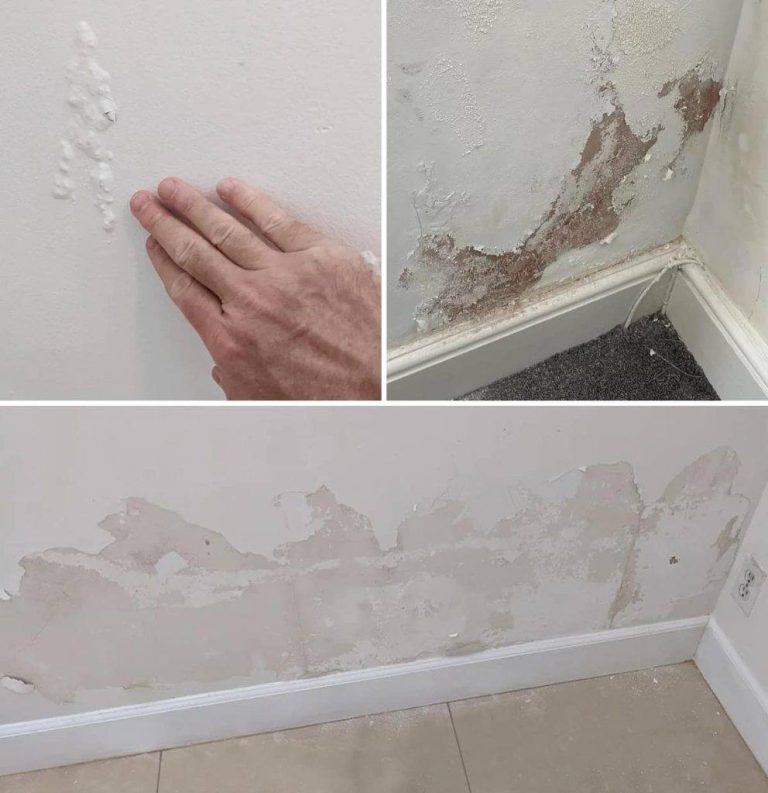 484793135 122162377478335096 5819625444070289851 N