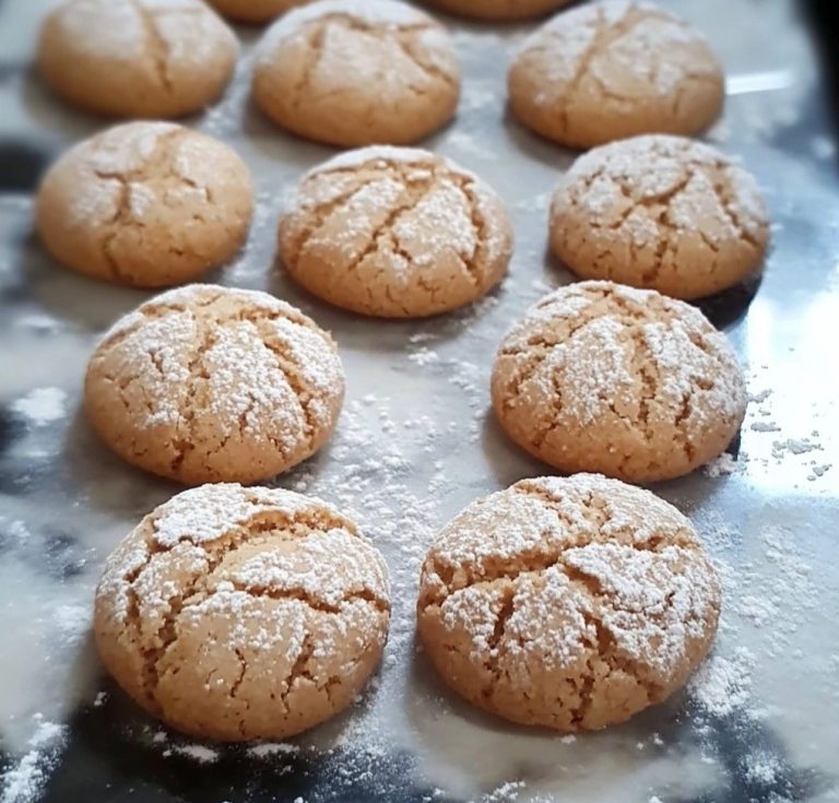 484921413 122162480756335096 1690625372514587034 N