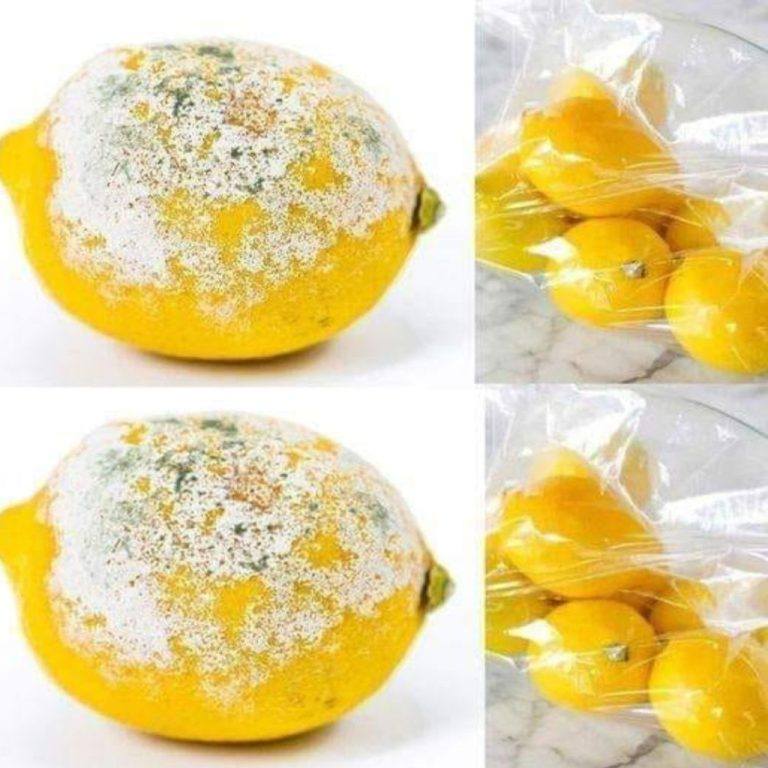 484947955 122162370986335096 8125136921028908800 N