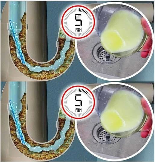 495187078 122171073266335096 4539022482957096350 N
