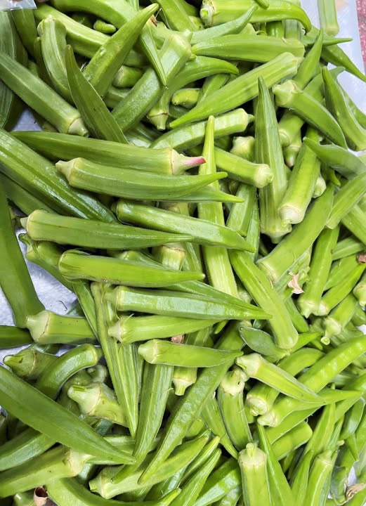 533636658 122150639906702245 4455602033408708258 N